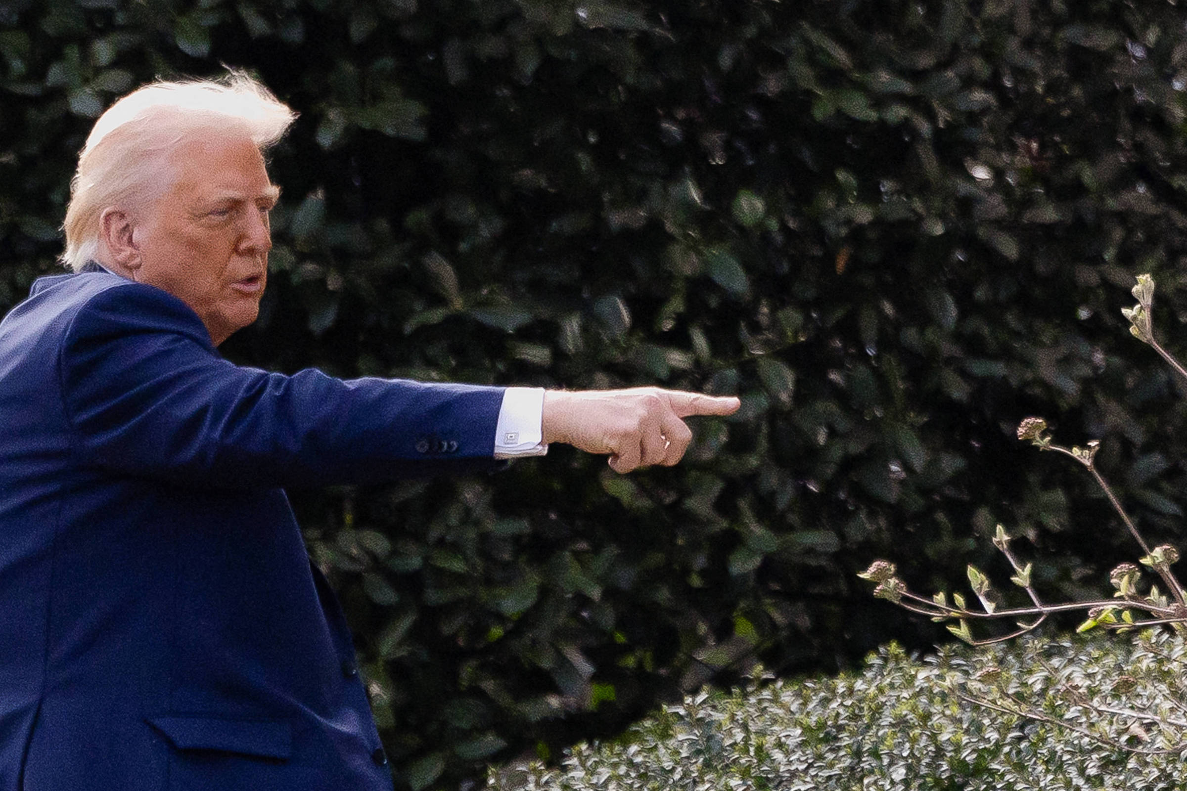 Trump contra Harvard