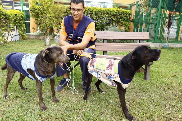 Um homem está sentado em um banco de parque, segurando as coleiras de dois cães. Os cães estão vestidos com roupas coloridas, um deles é de cor marrom e o outro é preto. O ambiente é um parque com grama verde e arbustos ao fundo.
