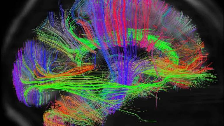 Inteligência artificial já pode ter consciência?