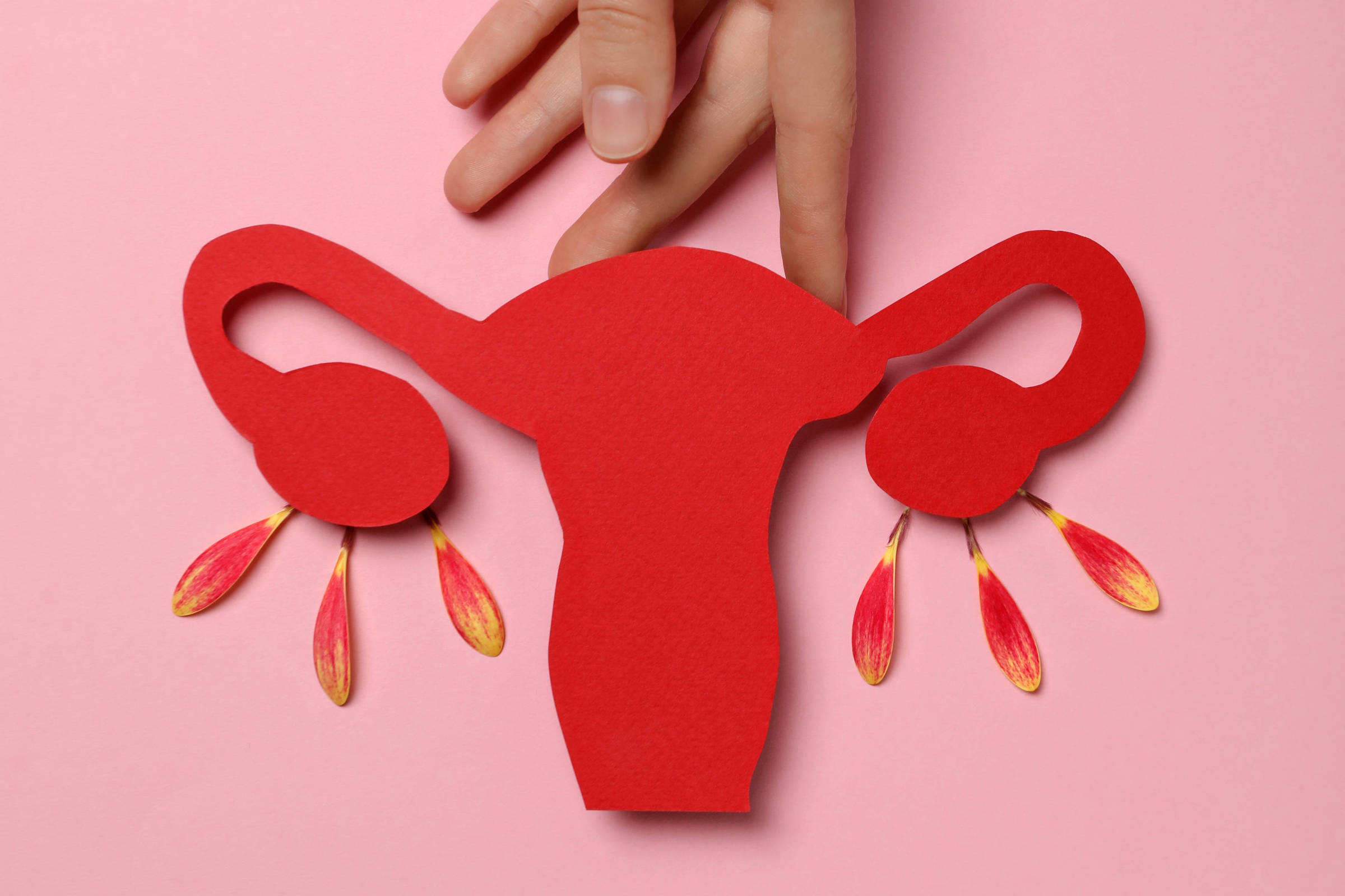 Ginecologistas oferecem métodos contraceptivos e de fertilidade naturais