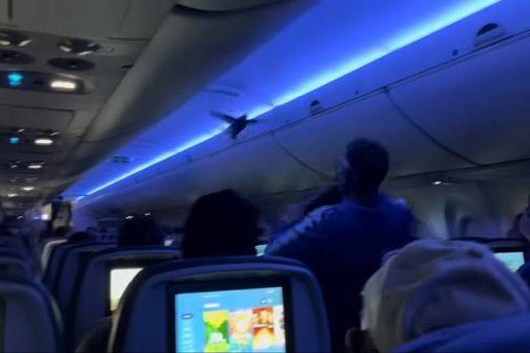Dois pombos invadem voo da Delta nos EUA; veja vídeo