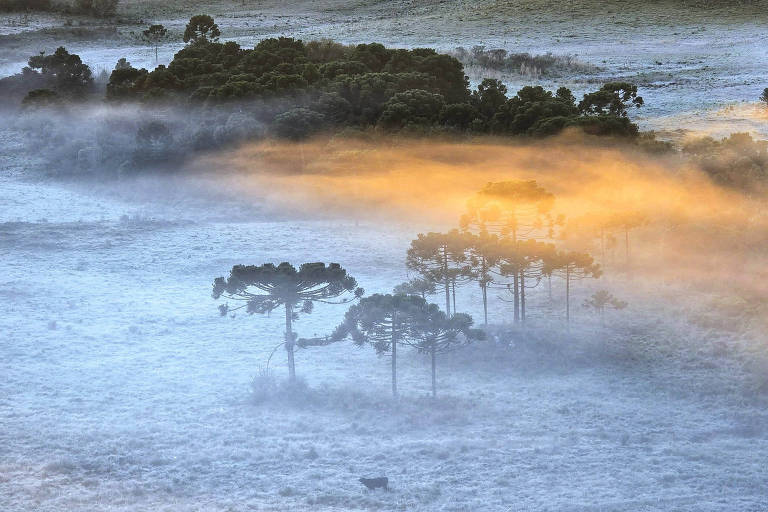 Onda de frio deve atingir Sul do Brasil, com possibilidade de neve