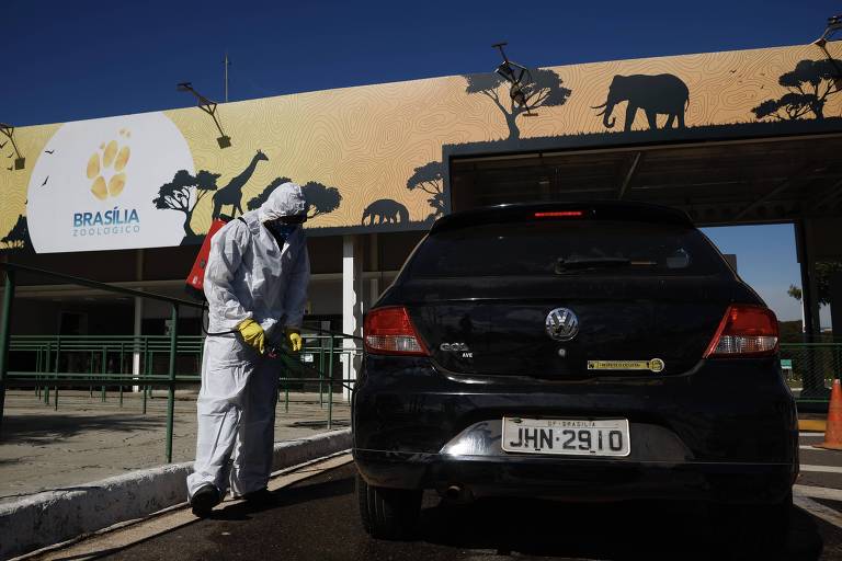 Zoo de Brasília envia aves suspeitas de gripe aviária para testes em Campinas