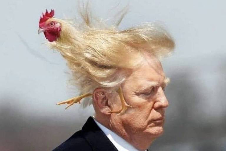 Memes 'TACO', dos EUA, criticam recuos de Trump