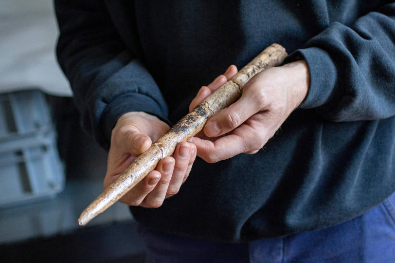 Ferramentas feitas de ossos de baleia revelam a inventividade de povos pré-históricos