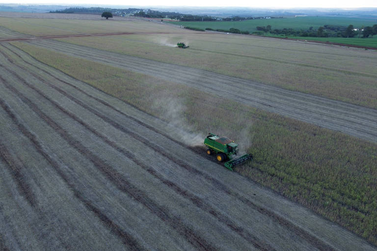 Agropecuária tem alta de 12,2% e puxa PIB no primeiro trimestre