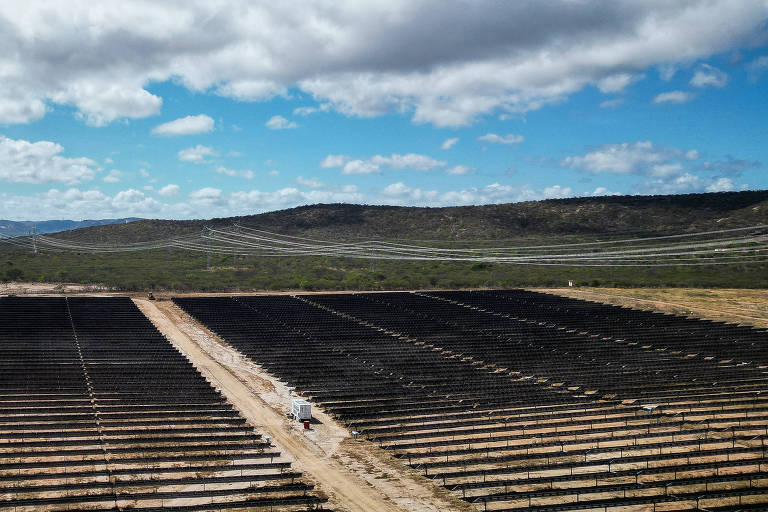 A imagem mostra um grande campo de cultivo com fileiras organizadas de plantas ou culturas. O céu está parcialmente nublado, com algumas nuvens brancas e um fundo azul. Ao fundo, há uma colina verde e linhas de energia elétrica visíveis. O solo é de cor clara e há um caminho de terra que atravessa o campo.