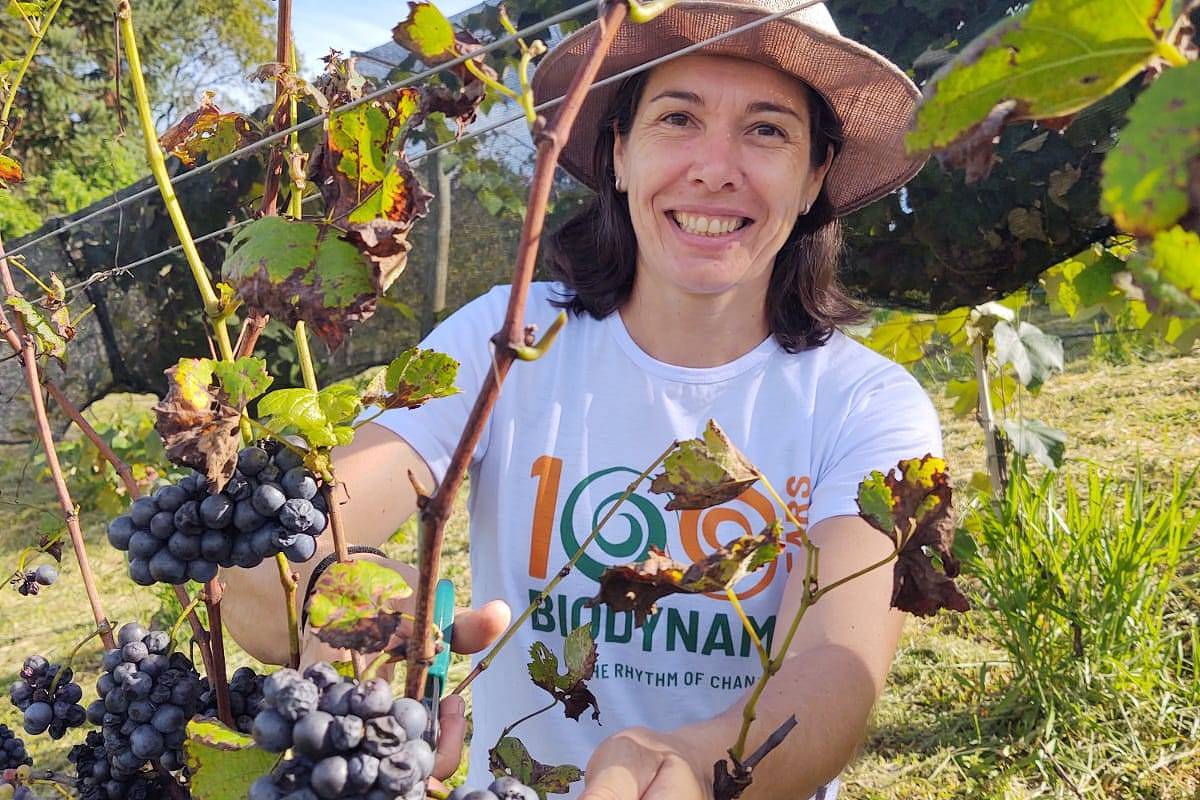 A filosofia dos vinhedos lindos e dos vinhos cheios de energia