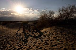 Extreme temperatures in Death Valley, California