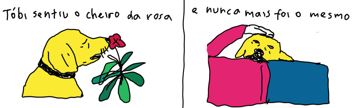 A tirinha de Estela May, publicada em 31/05/25, traz, no primeiro quadro, um cachorro amarelo cheirando uma rosa vermelha. Acima, “Tóbi sentiu o cheiro da rosa”; no segundo quadro, o cachorro morgado deitado em seu dono, e acima, “e nunca mais foi o mesmo”.