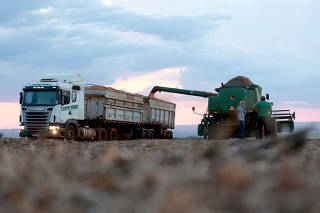 Soybean harvest on a farm in Maringa
