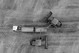 Soybean harvest on a farm in Maringa