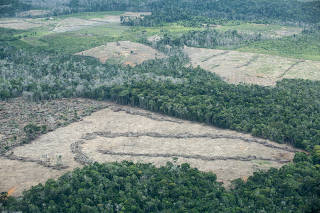 MATA ATLANTICA