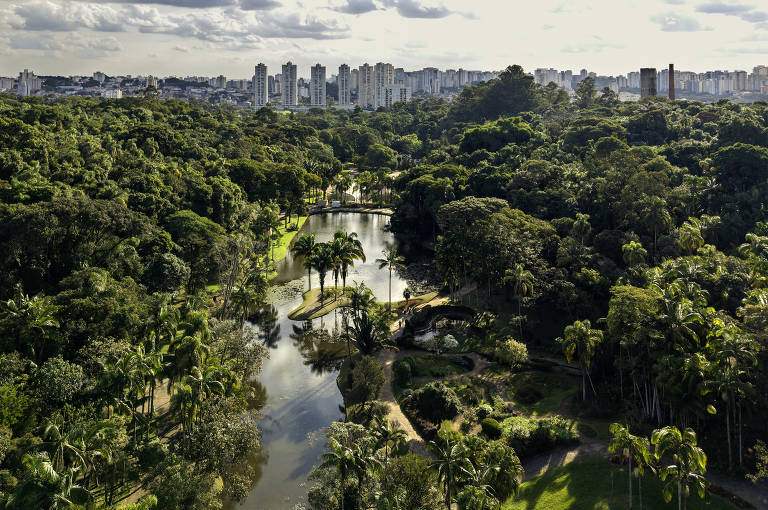 A imagem mostra uma vista aérea de um parque urbano, com uma densa vegetação verde, incluindo palmeiras e árvores. Um rio serpenteia pelo parque, refletindo a luz do sol. Ao fundo, é possível ver uma cidade com prédios altos, contrastando com a natureza do parque.