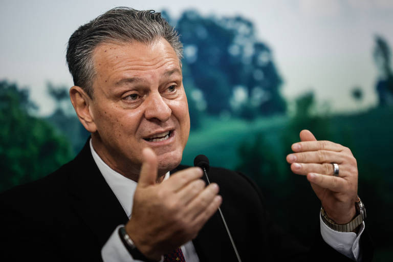 Brasil se autodeclara livre da gripe aviária após etapa de isolamento