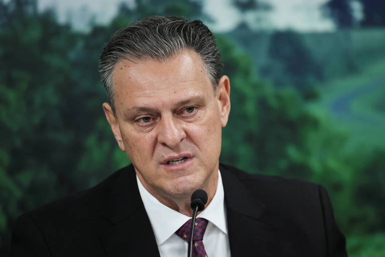 Ministro da Agricultura quer discussão sobre vacinação contra gripe aviária sem restrição de mercados