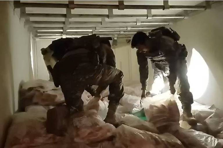 PRF aprende 5,3 toneladas de maconha congelada em carga de peixe no interior de SP