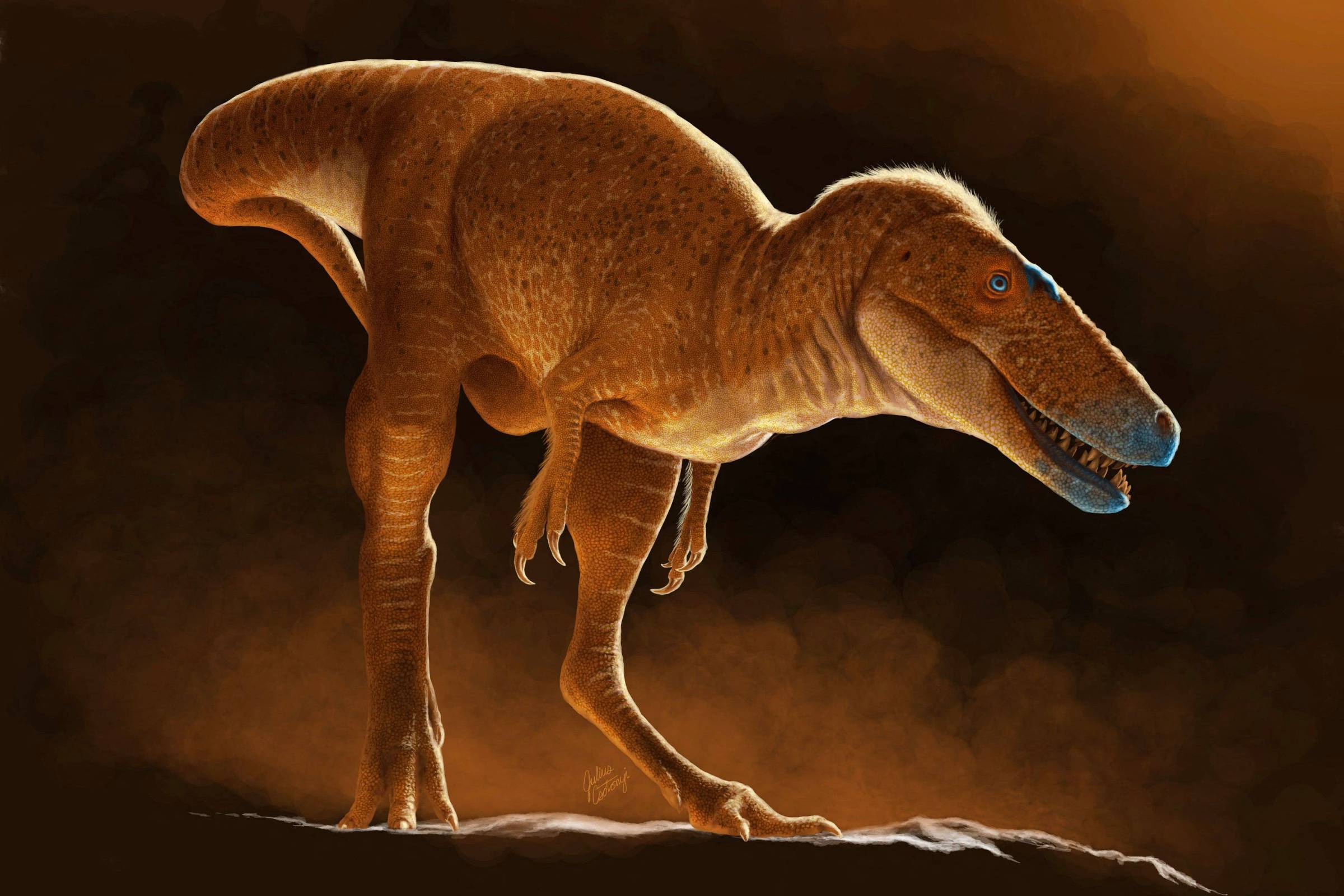 Dinossauro apelidado de príncipe dragão foi precursor do T. rex