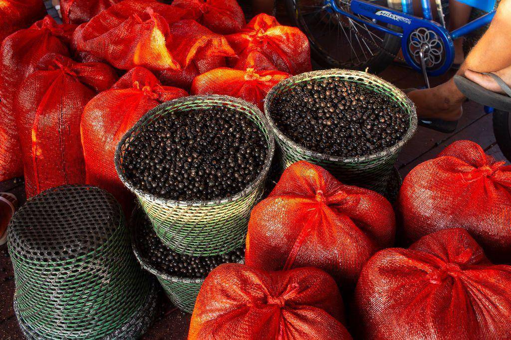 Oito frutas raras que você só pode provar na Amazônia