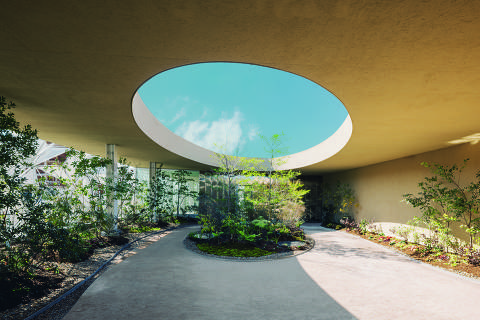Pavilhão feminino na Expo Osaka é uma homenagem à 