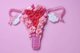 The women's reproductive system. The concept of women's health. Copyspace