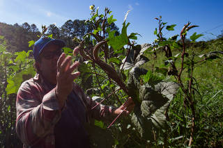 Agricultores de Parelheiros