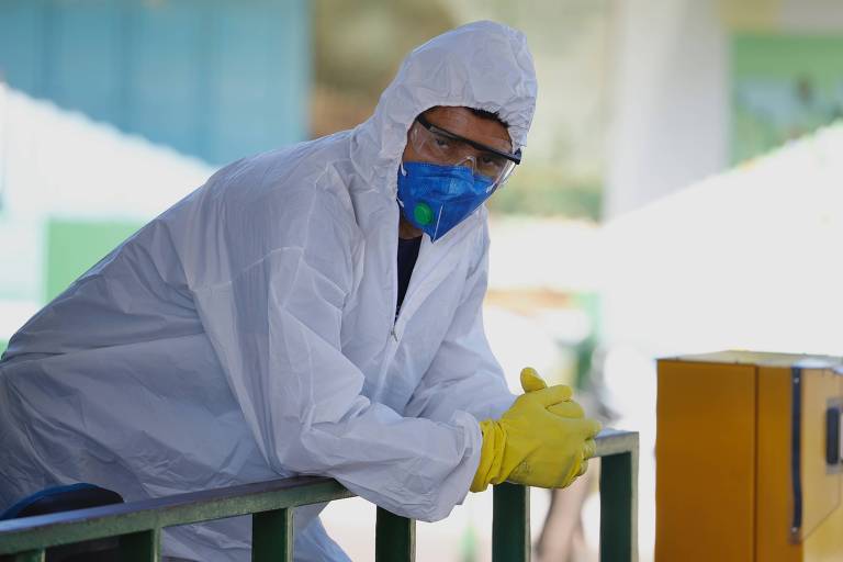 Japão suspende importação de frango de cidade de MT após caso de gripe aviária em ave doméstica