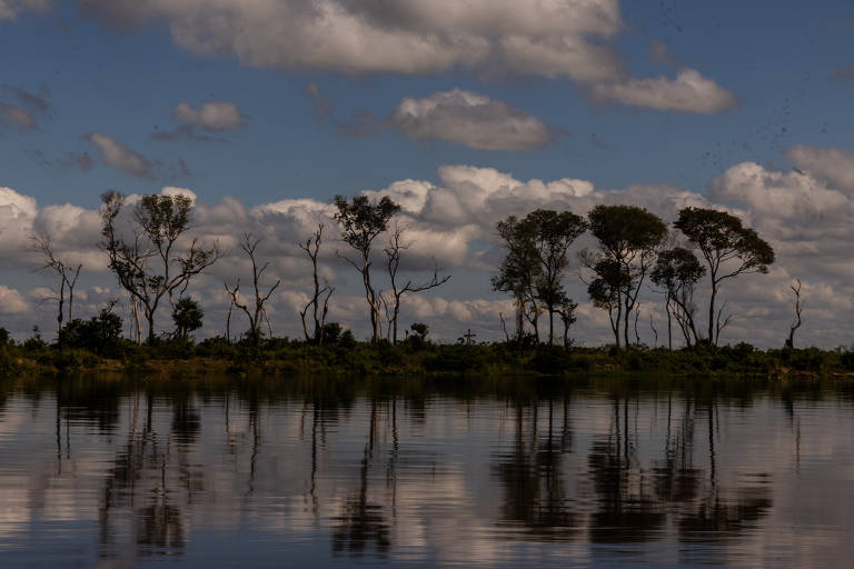Série de reportagens da Folha volta a locais afetados pelas queimadas no pantanal
