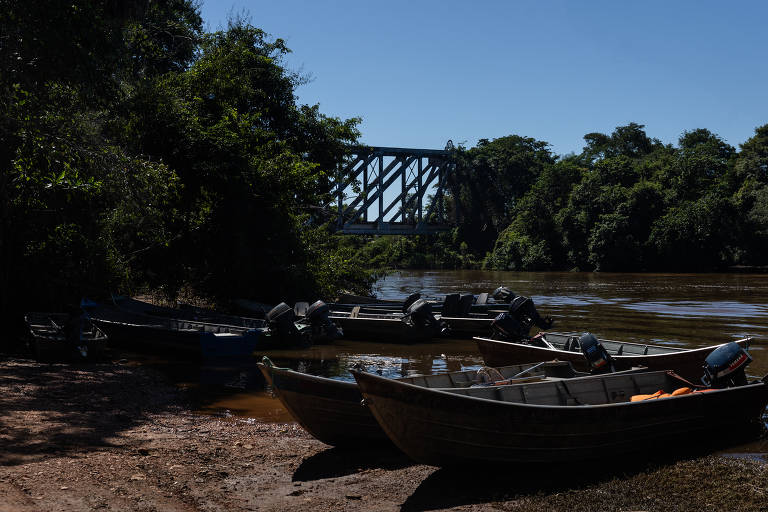 Série Cicatrizes no Pantanal mostra danos que fogo deixou em comunidades tradicionais