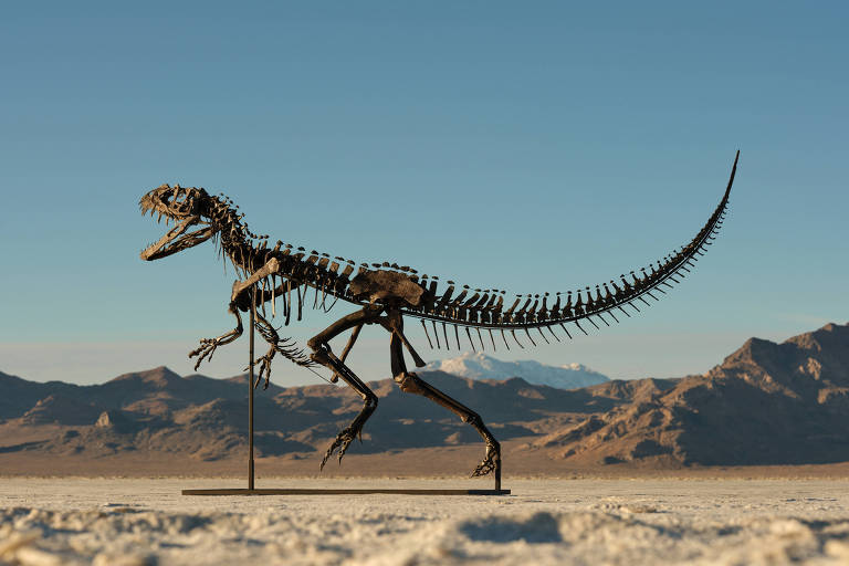 Fóssil de dinossauro é arrematado por R$ 170 milhões, e meteorito de Marte, por R$ 29 milhões