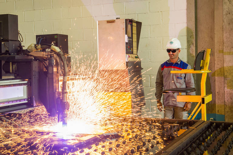 Operadores de máquinas de processamento de texto e mecanógrafos