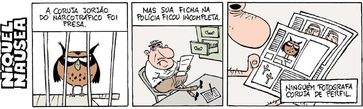 Quadrinho 01- Legenda: A coruja Jorjão do narcotráfico foi presa. Uma coruja marrom está atrás das grades. Quadrinho 02- Legenda: Mas sua ficha na polícia ficou incompleta. Um homem está sentado em uma cadeira, com os pés na mesa, pernas cruzadas. Há um arquivo com a gaveta aberta atrás dele e ele tem fichas nas mãos. Quadrinho 03- O quadrinho mostra a ficha policial da coruja. Ela tem uma foto de frente e ao lado há um espaço em branco. Legenda: Ninguém fotografa coruja de perfil.