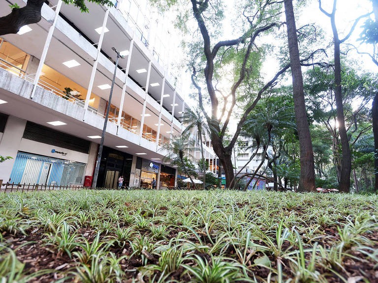 A imagem mostra uma área verde com gramado e plantas baixas em primeiro plano. Ao fundo, há um edifício de vários andares com janelas e varandas. A cena é iluminada pela luz do sol que entra entre as árvores ao redor, criando um ambiente natural e urbano ao mesmo tempo.