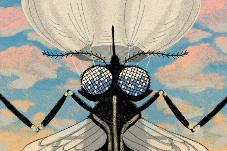 O balão vai subindo (em busca de mosquitos)