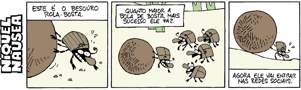 Quadrinho 01- Legenda: Este é o besouro rola-bosta. Um besouro rola-bosta, marrom está carregando sua bola de bosta. Quadrinho 02- Legenda: Quanto maior a bola de bosta, mais sucesso ele faz. O besouro rola-bosta está rodeado de outros besouros rola-bosta, seus admiradores. Quadrinho 03- O besouro carrega sua enorme bola de bosta. Legenda: Agora ele vai entrar nas redes sociais.