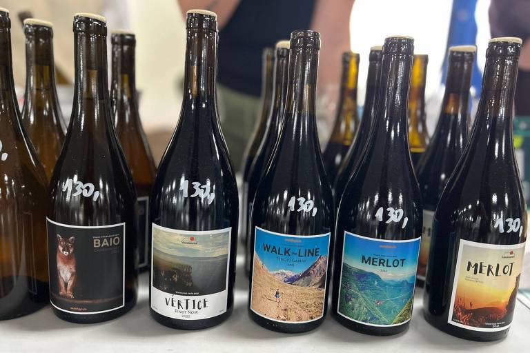 A imagem mostra várias garrafas de vinho dispostas em uma mesa. As garrafas têm rótulos com diferentes designs e nomes, incluindo 'BAIÓ', 'VERTICK', 'WALK-LINE' e 'MERLOT'. Os preços estão marcados em cada garrafa, variando entre R$ 130 e R$ 131. Ao fundo, há outras garrafas e uma pessoa parcialmente visível.