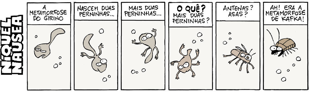 Quadrinho 01- Legenda: A metamorfose do girino. Um girino está nadando.  Quadrinho 02- Legenda: Nascem duas perninhas. O girino tem duas perninhas.  Quadrinho 03- Legenda: Mais duas perninhas. O girino tem quatro perninhas.  Quadrinho 04- Legenda: O quê? Mais duas perninhas? O girino tem seis perninhas.  Quadrinho 05- Legenda: Antenas? Asas? O bicho agora tem seis pernas, asas e antenas.  Quadrinho 06- Legenda: Ah! Era a metamorfose de Kafka! O bicho em que o girino se transformou é um inseto.