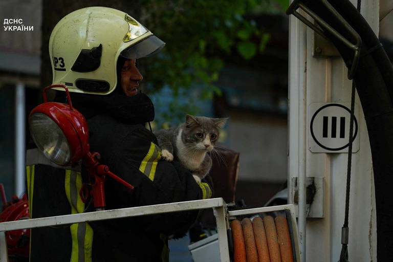 Um bombeiro, usando um capacete e uniforme, está segurando um gato cinza em seus braços. Ele está em uma escada de um caminhão de bombeiros, com um fundo que mostra uma parede de tijolos e vegetação ao redor. O bombeiro parece estar em uma operação de resgate, e o gato parece calmo.