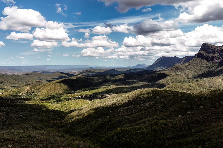 As sementes sob cerco nas ilhas no céu