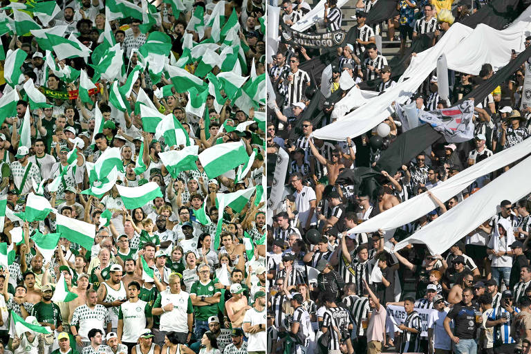 Palmeiras e Botafogo levam guerra de torcidas vibrantes ao Berço da Liberdade