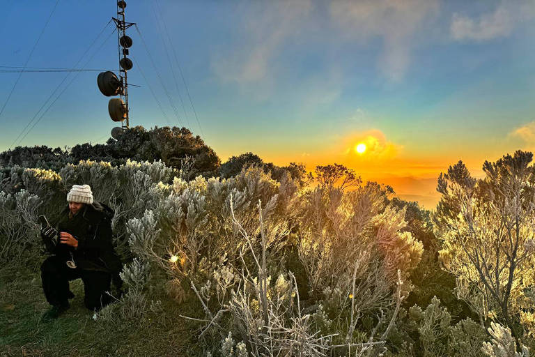 A imagem mostra uma paisagem ao amanhecer, com um homem agachado em meio a vegetação. Ele está vestido com roupas escuras e um gorro branco. Ao fundo, há uma torre de comunicação com antenas e um céu colorido, onde o sol está surgindo no horizonte, iluminando a cena. A vegetação é densa e apresenta um brilho suave, refletindo a luz do sol.