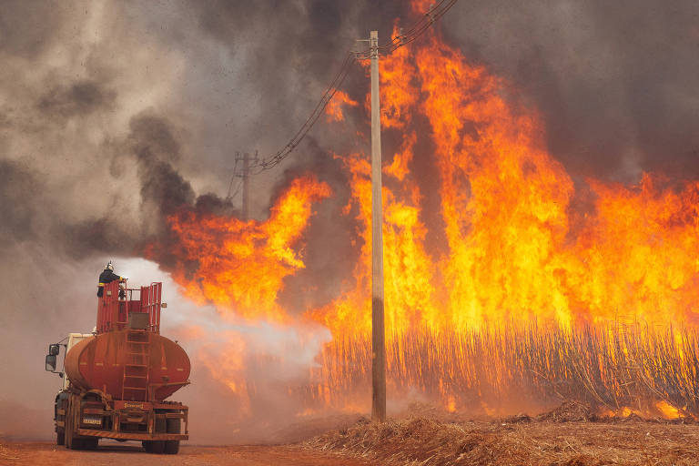 Temporada de seca faz usinas lançarem campanhas contra incêndios em SP