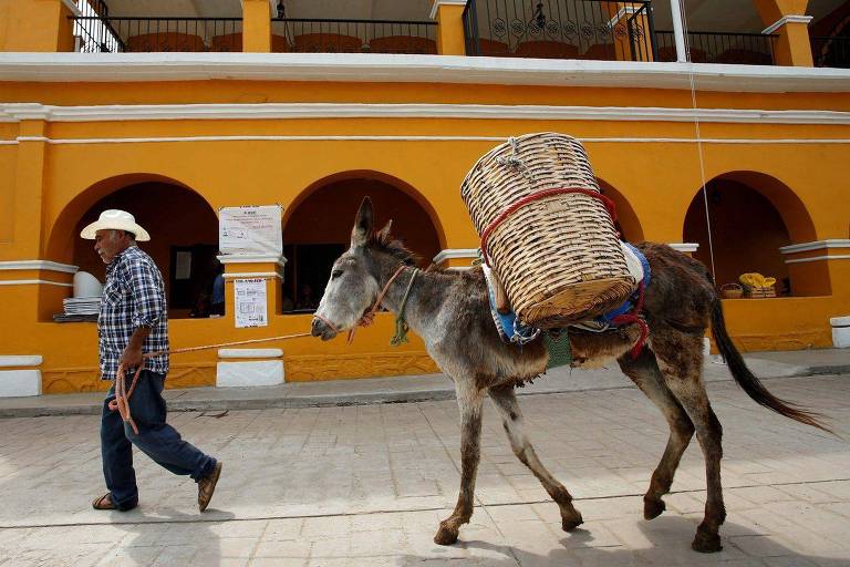 Um homem, vestido com uma camisa xadrez e um chapéu, caminha ao lado de um burro que carrega uma cesta de vime. O fundo apresenta paredes amarelas e arcos, sugerindo um ambiente urbano. O chão é de pedra e há cartazes visíveis nas paredes.
