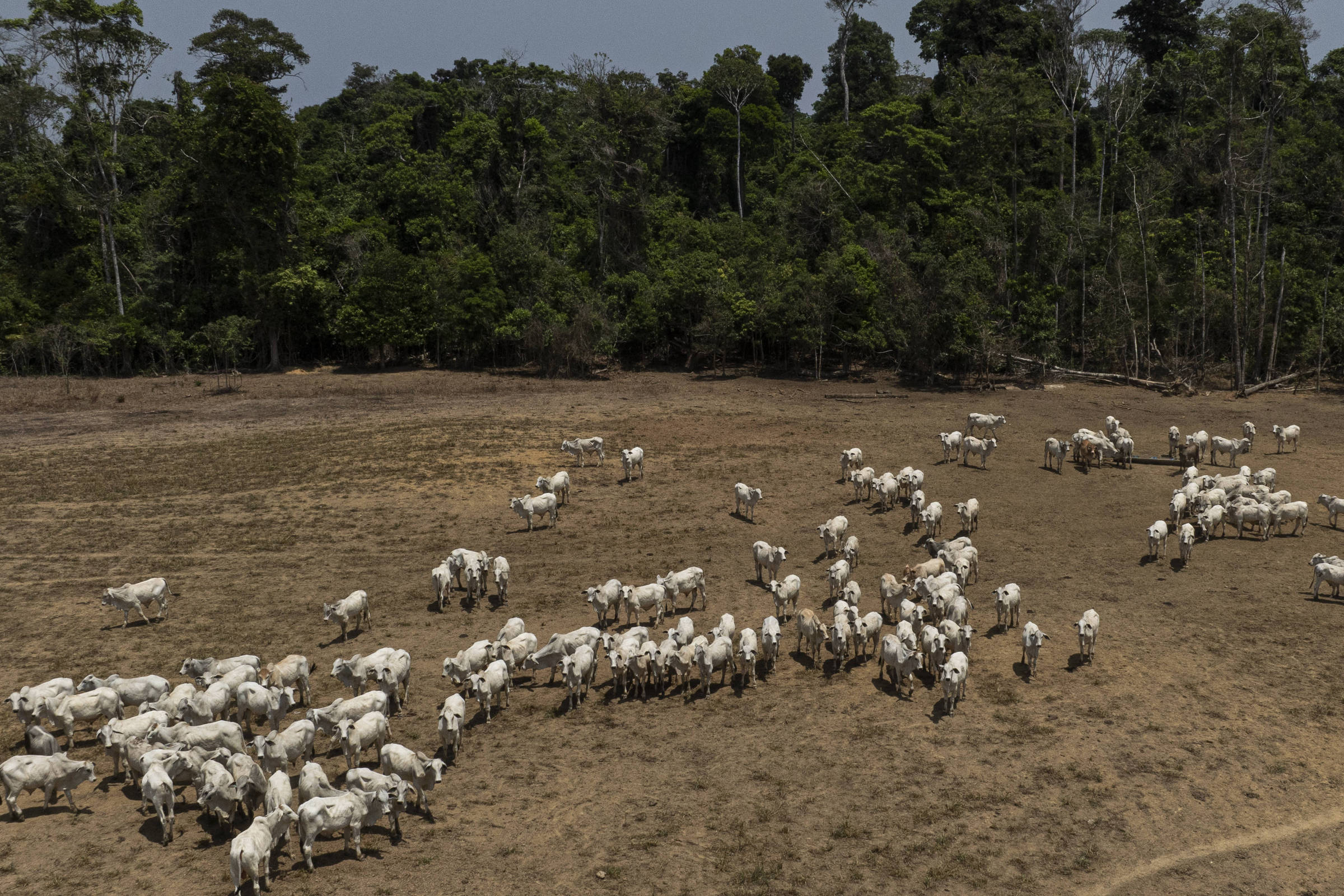 Agro quer financiamento climático para produtores rurais e lista demandas à COP30