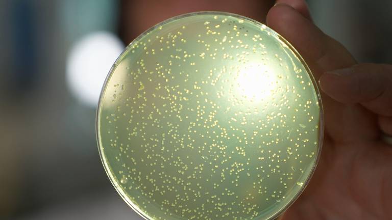 Polêmico projeto quer criar do zero DNA humano artificial