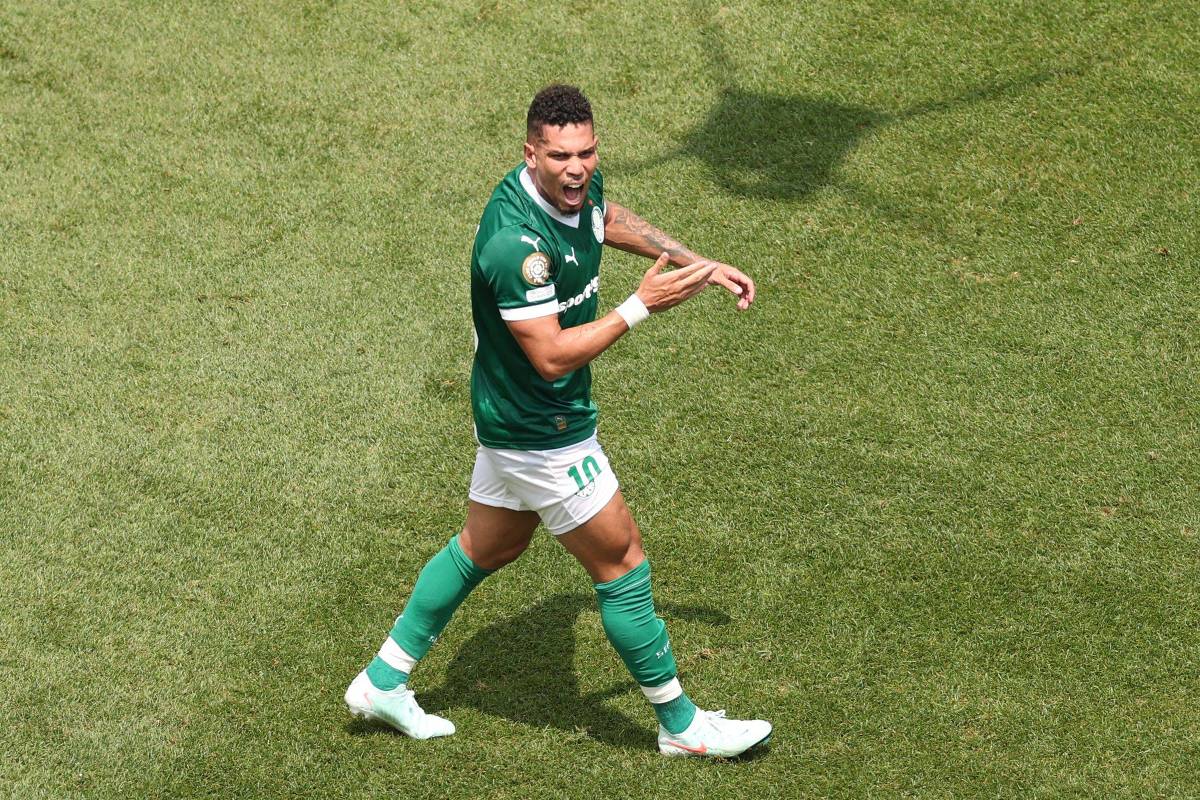 Abel elogia sacrifício de Paulinho e confirma necessidade de nova cirurgia