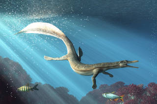 Mesosaurus is an extinct