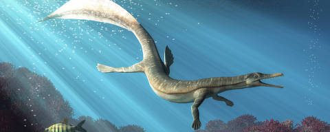 Mesosaurus is an extinct carnivorous reptile that lived during the Early Permian period. It was one of the earliest known aquatic reptiles. 3D Rende.Credito  Daniel Eskridge / AdobeStock DIREITOS RESERVADOS. NÃO PUBLICAR SEM AUTORIZAÇÃO DO DETENTOR DOS DIREITOS AUTORAIS E DE IMAGEM