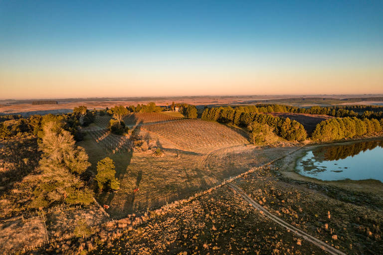 A imagem mostra uma paisagem rural ao amanhecer, com campos e colinas cobertas de vegetação. Há uma área de árvores à esquerda e um lago à direita, refletindo a luz suave do sol nascente. O céu é claro, com tons de azul e laranja, e a terra apresenta um caminho que se estende pela cena.