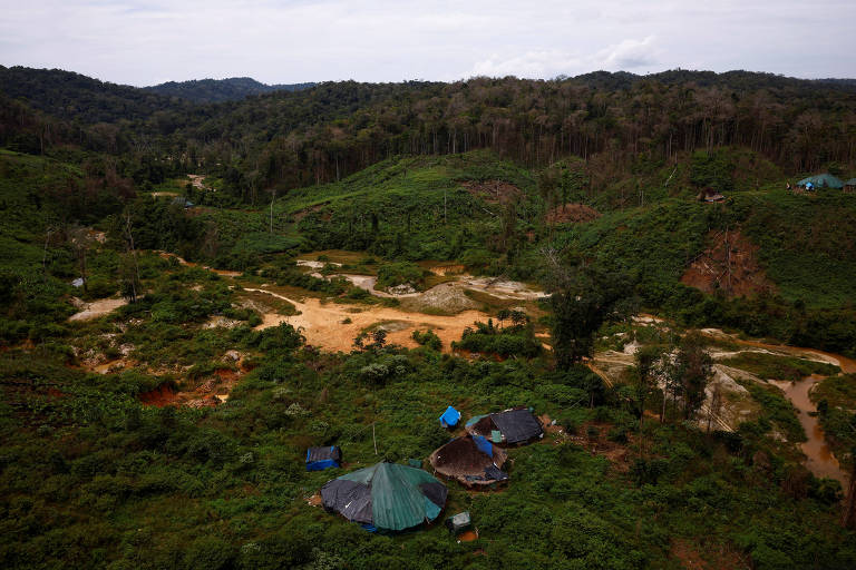 Contrato do governo com ONG de SP para limpeza em terra yanomami é estranho, diz senador